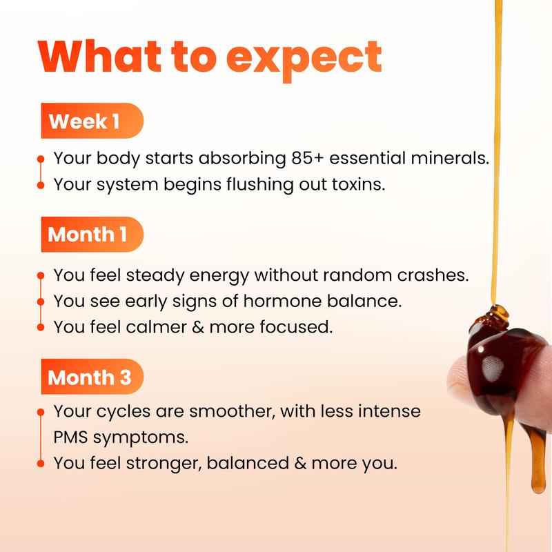 Himalayan Shilajit Honey Stick