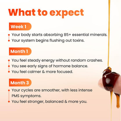 Himalayan Shilajit Honey Stick